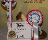  - 89th International DOG SHOW LUXEMBOURG