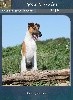  - Calendrier 2019 Spécial Fox-terriers à poil lisse