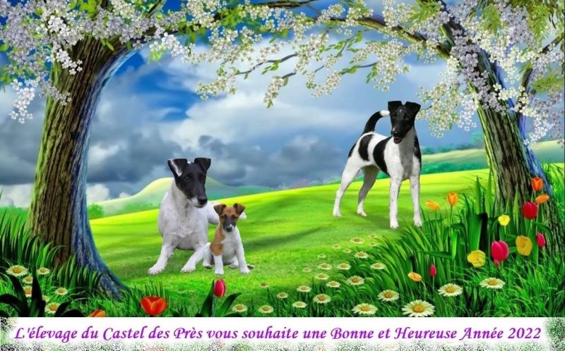 Du castel des pres - Bonne et Heureuse Année 2022