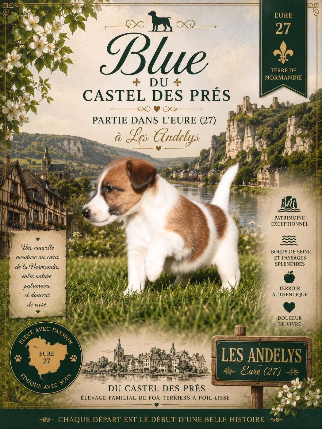 Blue du Castel des Prés aux Andelys (27) Fox Terrier à Poil Lisse en Normandie
