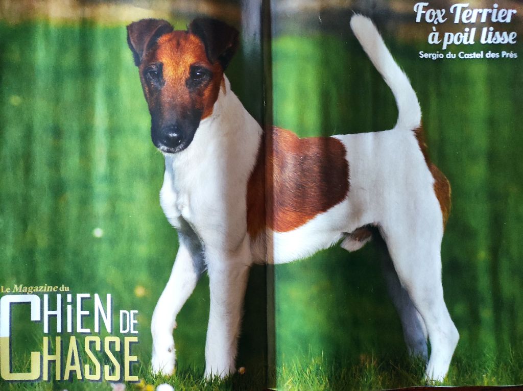 Du castel des pres - Sergio, Luria, Osiris et Noxy en vedette sur le Magazine de la chasse